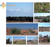 terrain d un hectar a vendre en campagne proche ville Marrakech