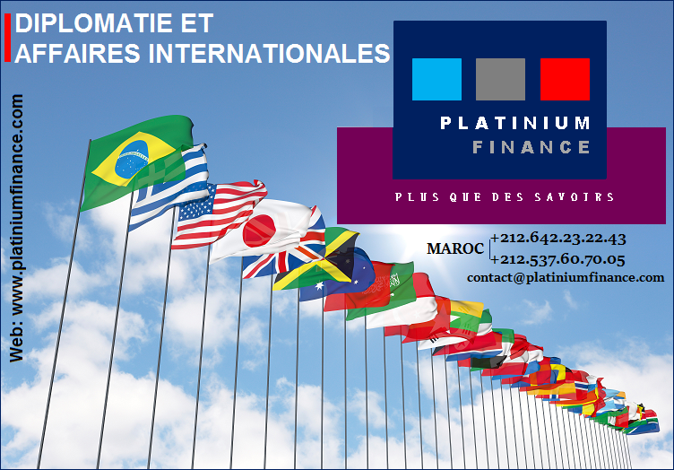 Formation pratique : Diplomatie et Affaires Internationales