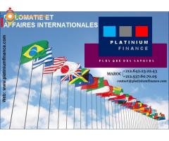 Formation pratique : Diplomatie et Affaires Internationales