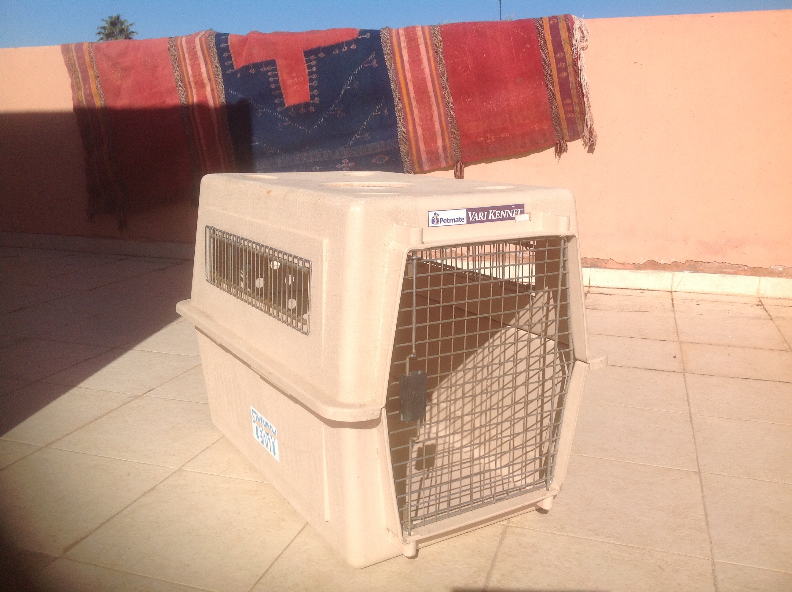 Cage transport pour chien