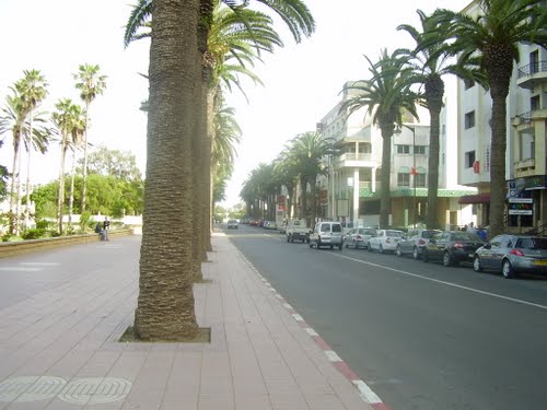 Cafe & magasin (à vendre) au centre ville d el jadida.