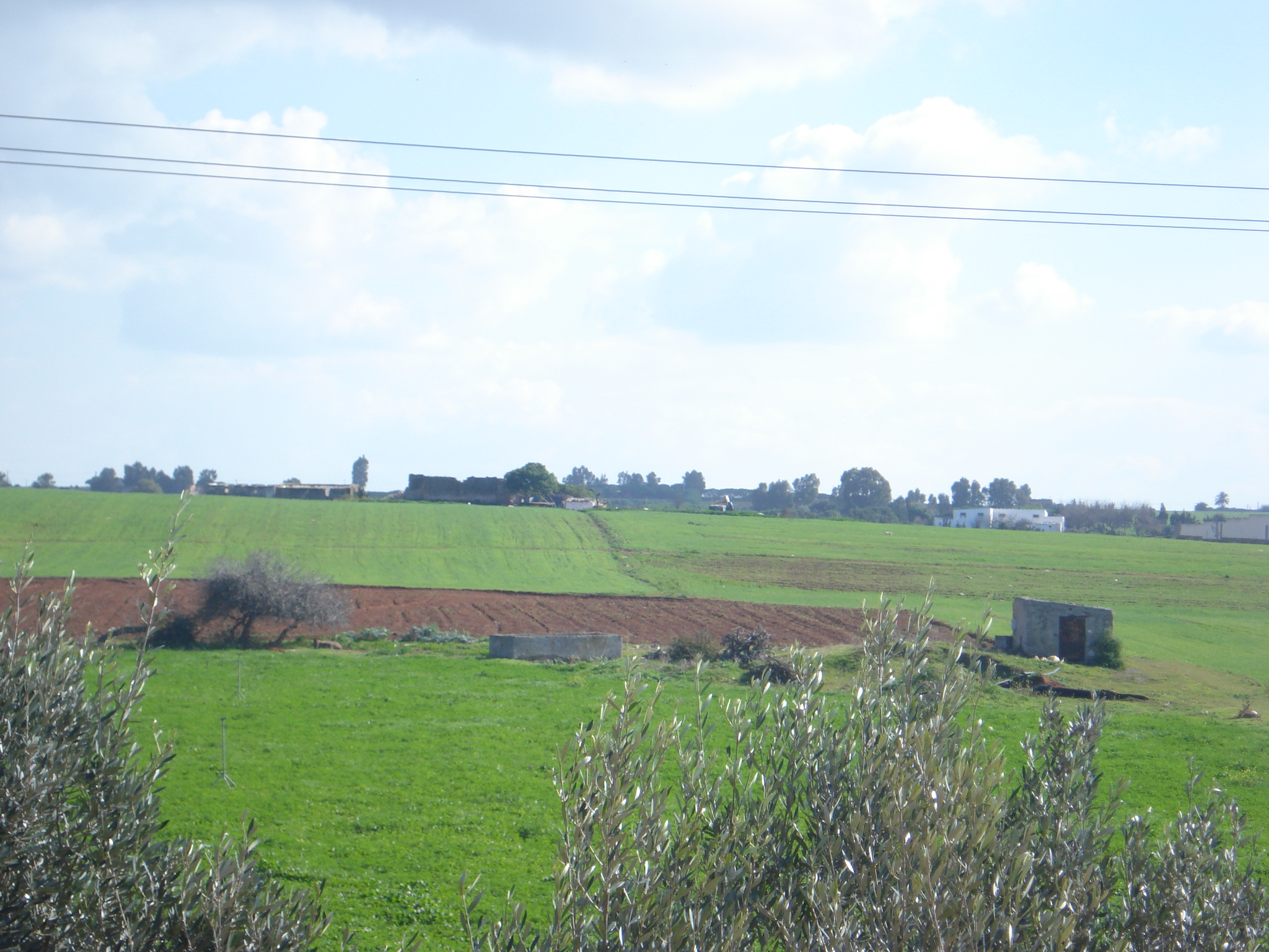 terrain de 6000 m² à louer