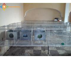 cages pour l'elevage de lapins