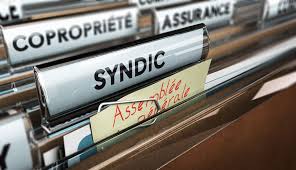 SYNDIC PROFESSIONNEL