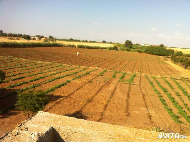 Ferme à vendre