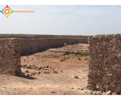 Terrain clôturé à vendre à Sidi bibi (Agadir)